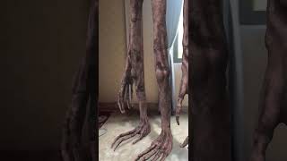 Sie Shjren Had วลำโพง