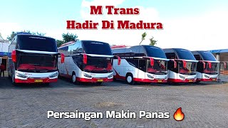 MTRANS BUSES ENTER MADURA ❓️❗️ | COMPETITION FOR THE MADURA ROUTE IS HEATENING 🔥✅️