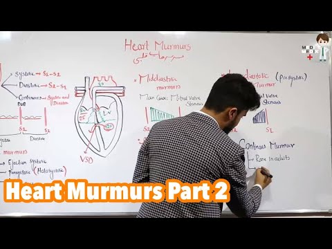 Heart Murmurs Part 2