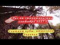 ВЗЯЛ ЛЕС НА СТРОИТЕЛЬСТВО 2021 г. Работаю В ЛЕСУ С ЛЕСНИКАМИ. Считаем кубы кругляка, ставлю зарубки.