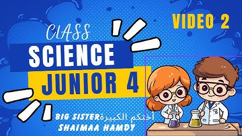 Science Primary 4 Concept 3 1 lesson 1 Second term 2024 - Big sister / Shaimaa Hamdy Kassem