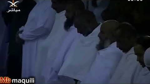 تلاوة مؤثرة من سورة آل عمران بصوت الشيخ ماهر المعيقلي، آيات عظيمة تحمل معاني الهداية