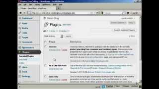 Video 9   How to Upgrade or Delete Plugins Automatically