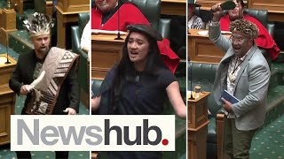 Is 'King Harehare' an insult?: MPs shake up tradition in NZ's Parliament | Newshub