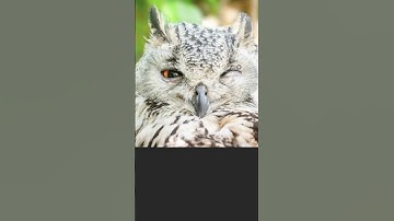 Reverse Clone Stamp Tool in Photoshop cc