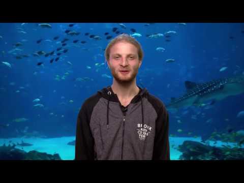 ფიშის ნაამბობი - პრეფლოპ რეიზის წინააღმდეგ თამაში