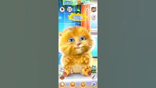 Talking ginger funny cat cute shower