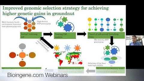 Bioingene.com webinar on Translational genomics for achieving higher genetic gains in groundnut [P3]