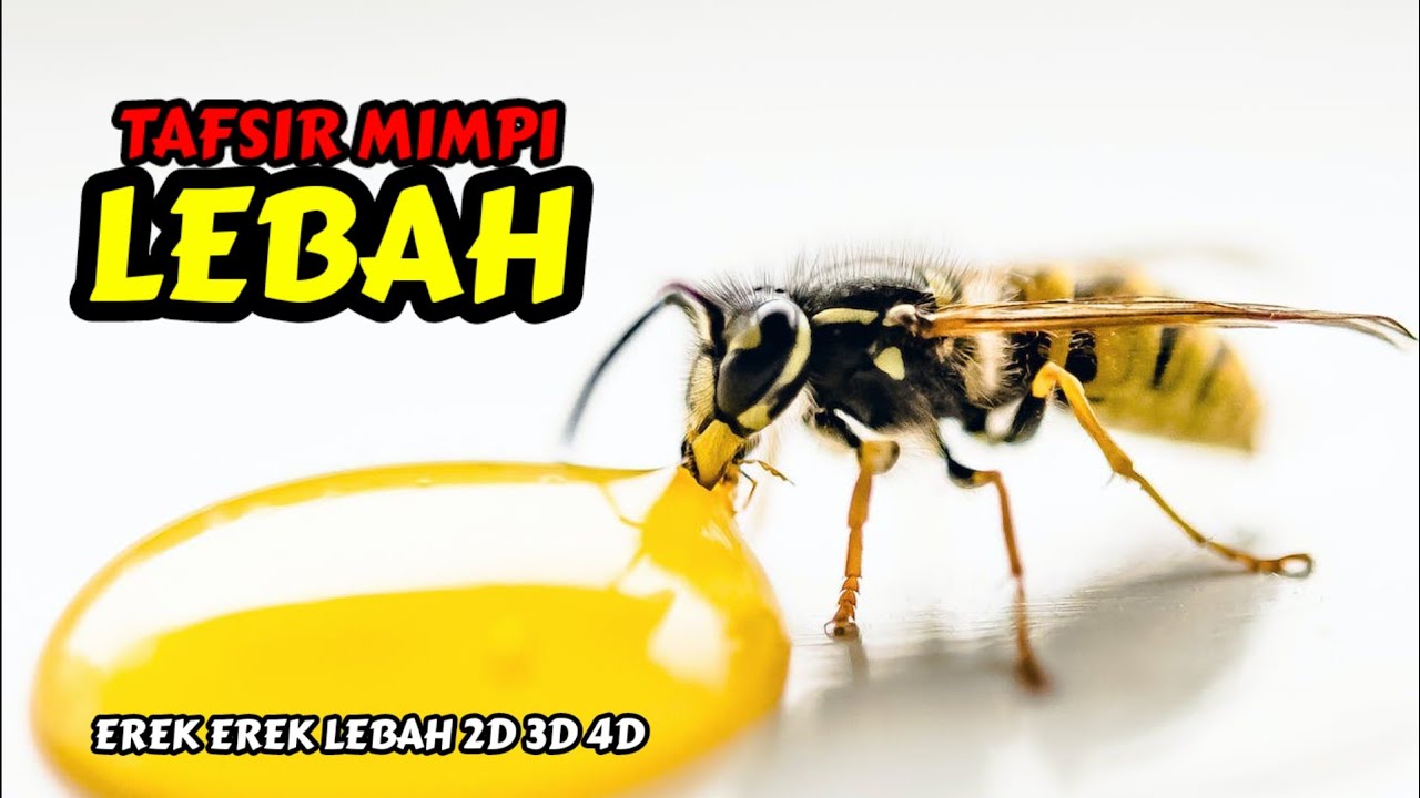 Tafsir Mimpi Lebah & Erek Erek Lebah 2D 3D 4D - YouTube