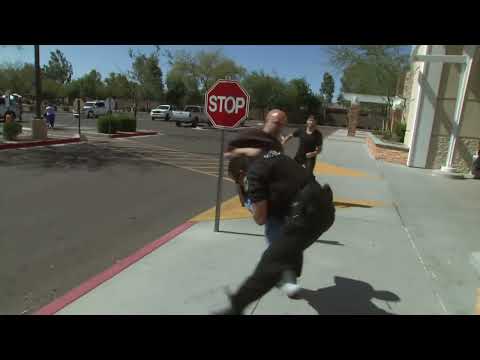 Cops Season 28 Intro (2015-2016)