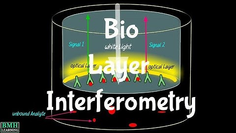 Bio Layer Interferometry | BLI Technology | Biomolecular Intractions Using Bio Layer Interferometry