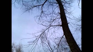 Sound Track at Bobolink Trail