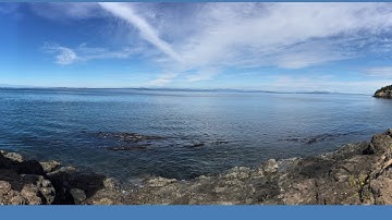 C Programming: Uppercase to Lowercase