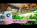 Answers Frequently Asked Aquarium Questions 「About Driftwood,Shrimps and A glass lid」ADA plantedtank