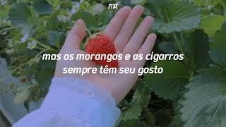 Troye Sivan - Strawberries & Cigarettes (tradução)