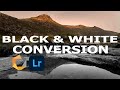 Black and White Conversion in Lightroom