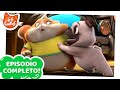 44 Gatos | Latinoamérica | Un perro como amigo [EPISODIO COMPLETO]