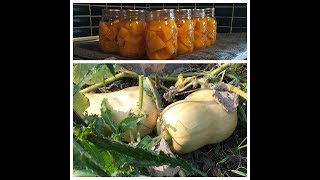 Pressure Canning Butternut Squash - My Next 5 Canning Projects