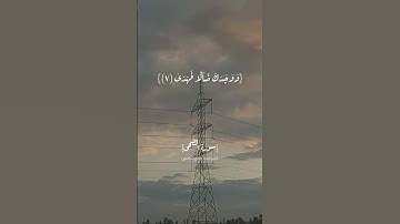 سورة الضحى الآية ٦و٧و٨ بصوت الشيخ محمد صديق المنشاوي #القرآن