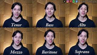 Bee Gees - &quot;How Deep Is Your Love&quot; (A Capella) | Joaquín Villazuela