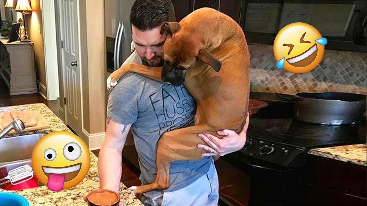 OVERDRAMATIC Dogs...Who Deserve An Oscar 😁🐶 | TOP Funny Dog Videos 2026