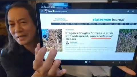 De kaart is net veranderd: Oregons miljardenverlies aan bomen uitgelegd