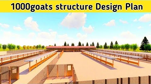 How to Design A standard goat Farm for 1000goats |2023