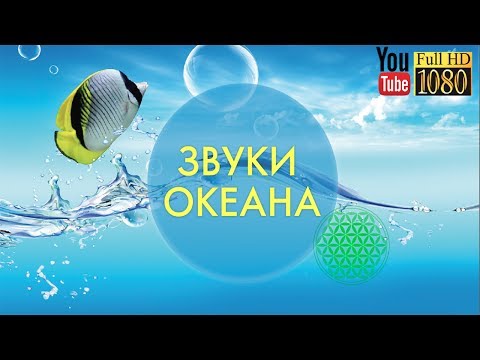 Смотреть клип 15 мин 🎵 396 Гц 639 Гц 963 Гц 🎵 Лучшая Лаунж Музыка для Релакса 🎵Спокойная Эмбиент Мелодия онлайн бесплатно в качестве Смотреть клип 15 мин 🎵 396 Гц 639 Гц 963 Гц 🎵 Лучшая Лаунж Музыка для Релакса 🎵Спокойная Эмбиент Мелодия онлайн бесплатно в качестве