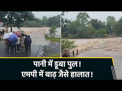MP के Dindori में Narmada का जलस्तर बढ़ा, पुल डूबने से टूटा संपर्क
