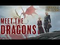 10 Dragons We'll See in House of the Dragon Season 1