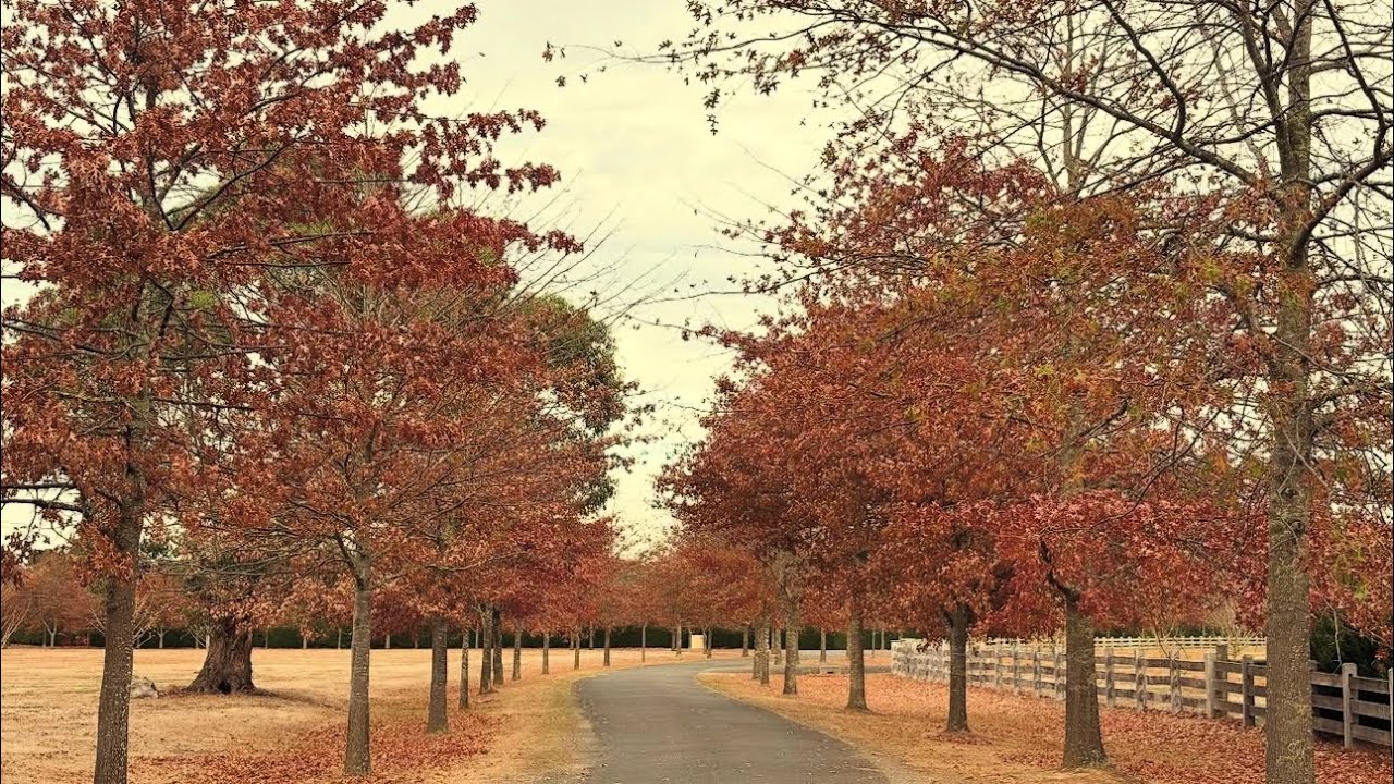 Honour Avenue Mt Macedon 