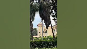 BHU. 🥰❤️ #shorts #BHU #varanasi