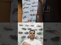 Action Shoes Heavy Discount 😱 | Myntra &amp; Flipkart Deal |#Short