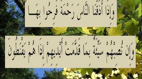 القران الكريم سورة الروم الأية 36.wmv