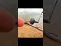 Big fish almost pulled my pole in the river