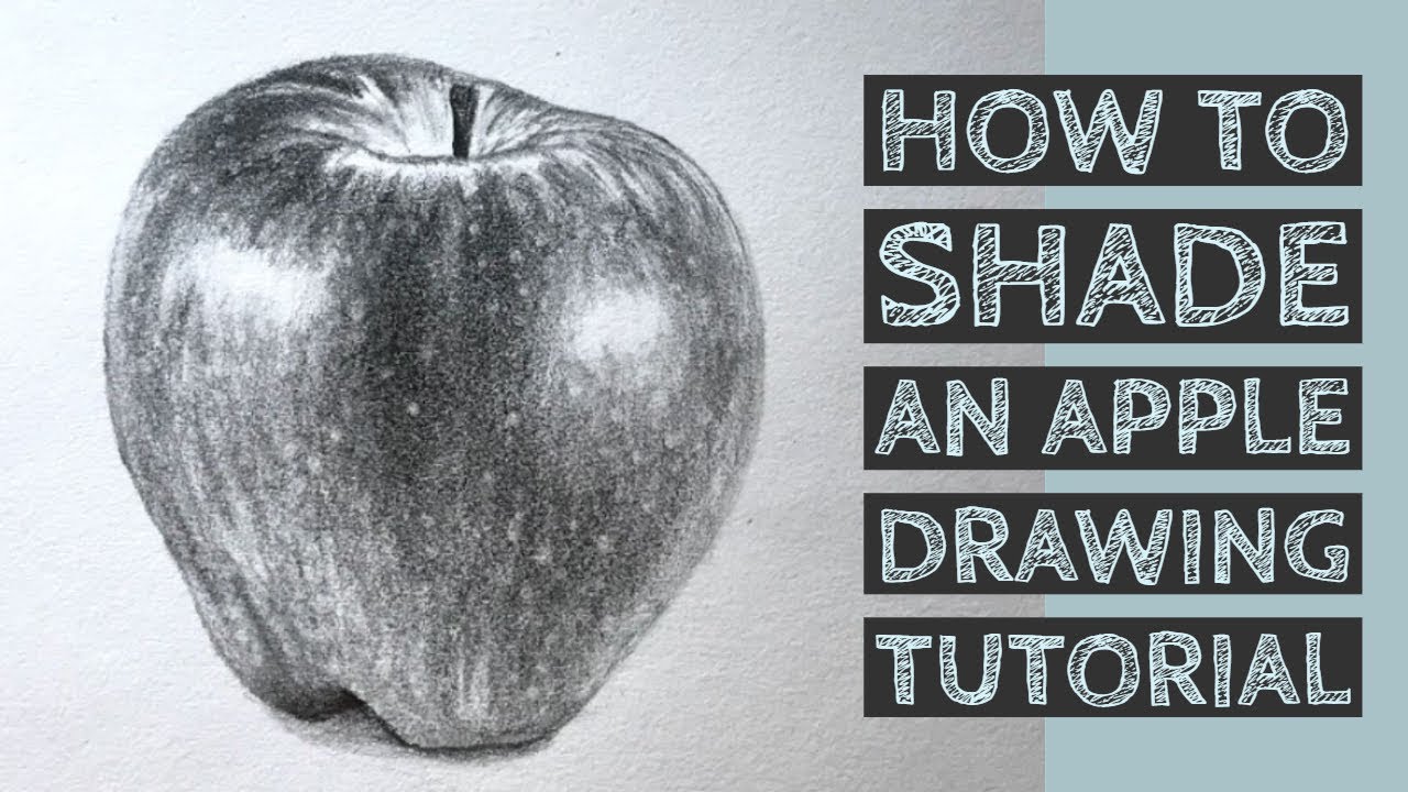 How to Shade an Apple - Pencil Shading Tutorial - YouTube