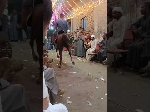 الفنان عصام ضاحي ابن ملوي