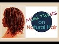 Mini Twists Tutorial on Natural Hair | Naturally Michy