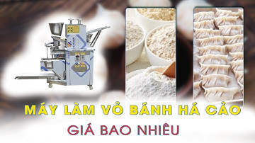 Máy làm vỏ bánh há cảo nhỏ gọn năng suất cao có giá bao nhiêu?
