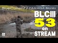 BlueCurrentⅢ53 on STREAM（里川ヤマメ編）