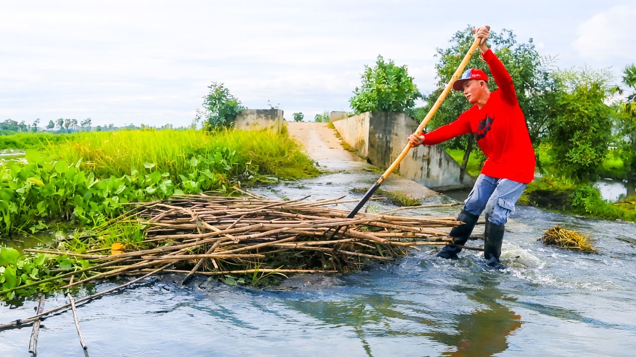 Wow Massive Clogged!!! Removal Plants And Wood Branch Clogged On Dam Drain Water After Heavy Rain