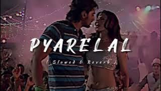 PYARELAL (প্যারেলাল) | Lofi Song ✨ | Dui Prithibi | Slowed and Reverb Song ..