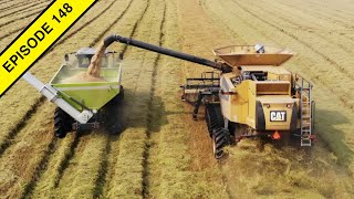 2020 California, USA Rice Harvest! | Tractor Video