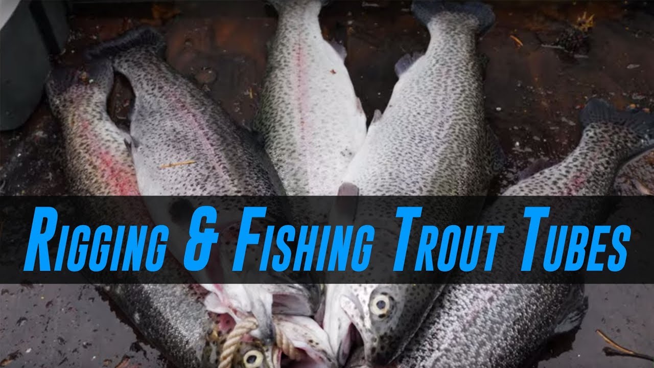 How To Fish For Trout Using Trout Tube Baits (HIGHLY EFFECTIVE!) 