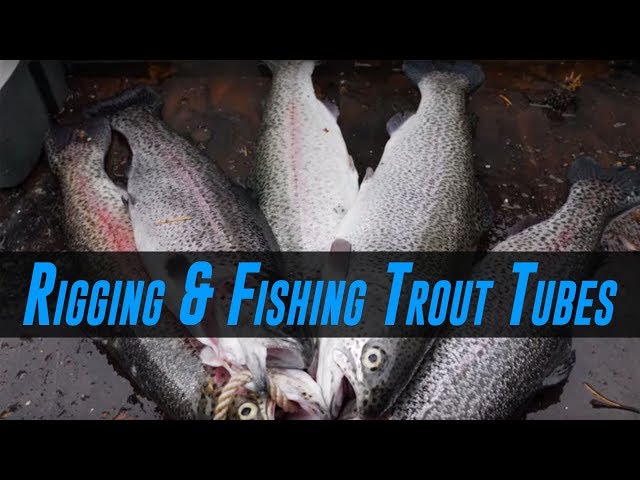 How To Fish For Trout Using Trout Tube Baits (HIGHLY EFFECTIVE