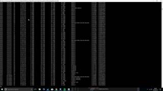 Algorithms Assignment