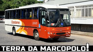 MUITOS ÔNIBUS DIFERENCIADOS NA RODOVIÁRIA DE CAXIAS DO SUL | ÔNIBUS NA TERRA DA MARCOPOLO