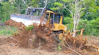 Caterpillar Bulldozers at Work, D6R XL Dozer Pushing Bushes, and Soil Building Plantation Full Video