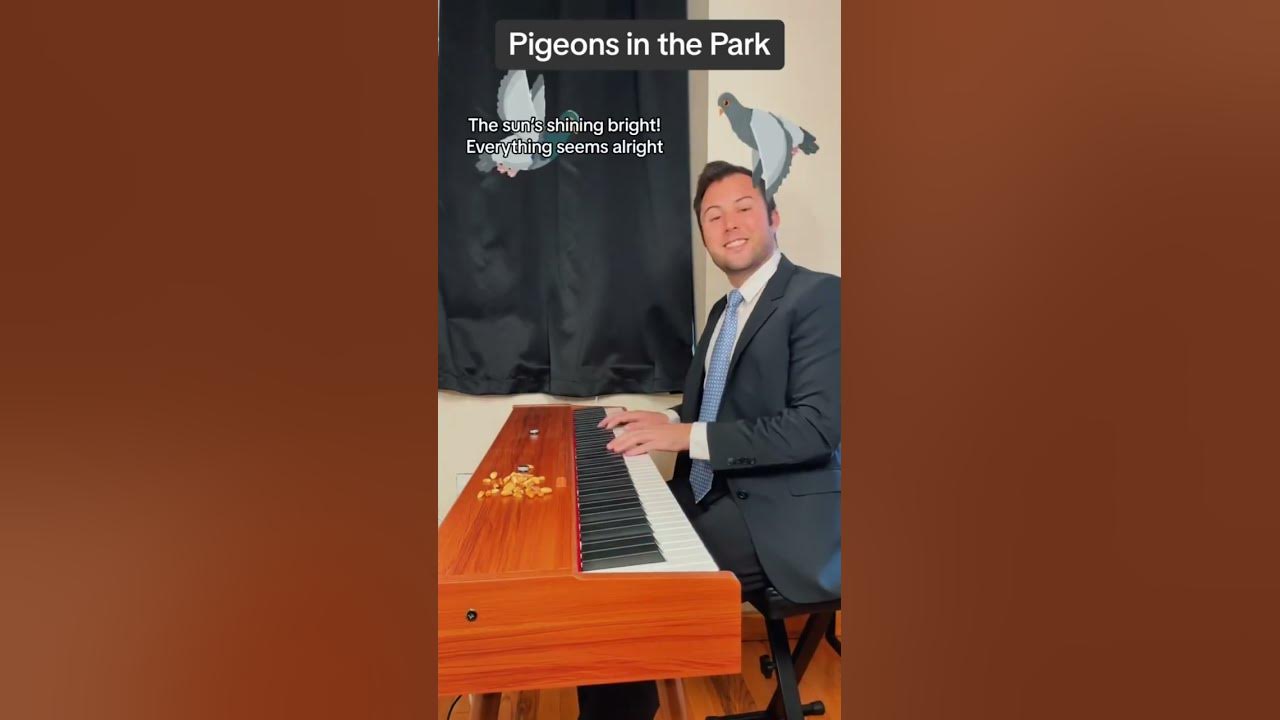 “Poisoning Pigeons in the Park” by Tom Lehrer #comedy #musical #piano #tomlehrer