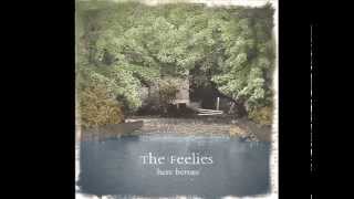 Watch Feelies On And On video